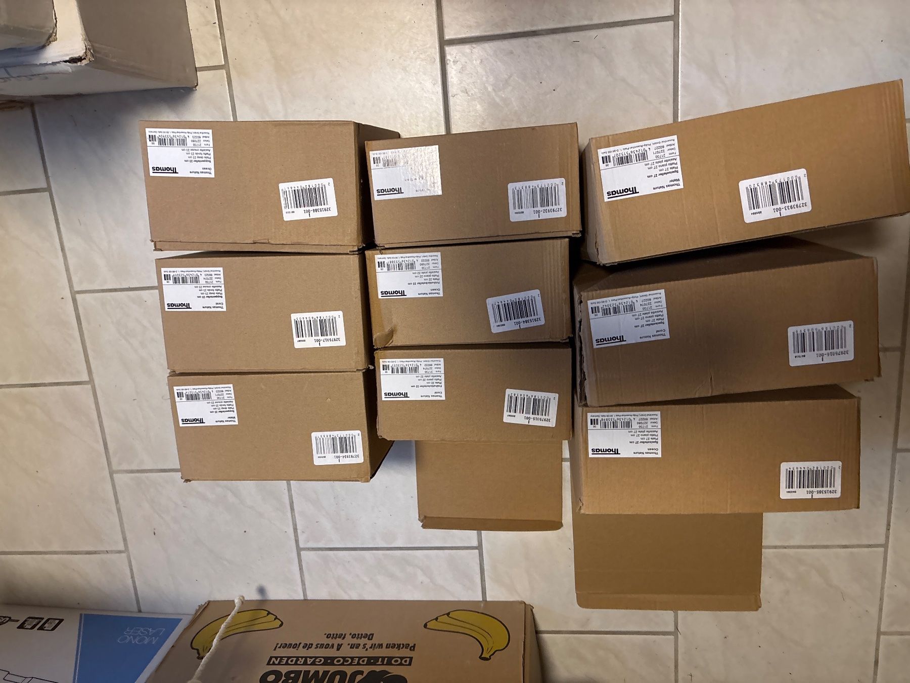 Cartoni: Kartonboxen für Geschirr – Usato da Aarau venduto da aargauer88