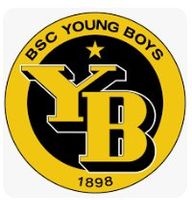 1 Stehplatzticket YB-FC Vaduz 23.08.2026 Sektor D Parkett