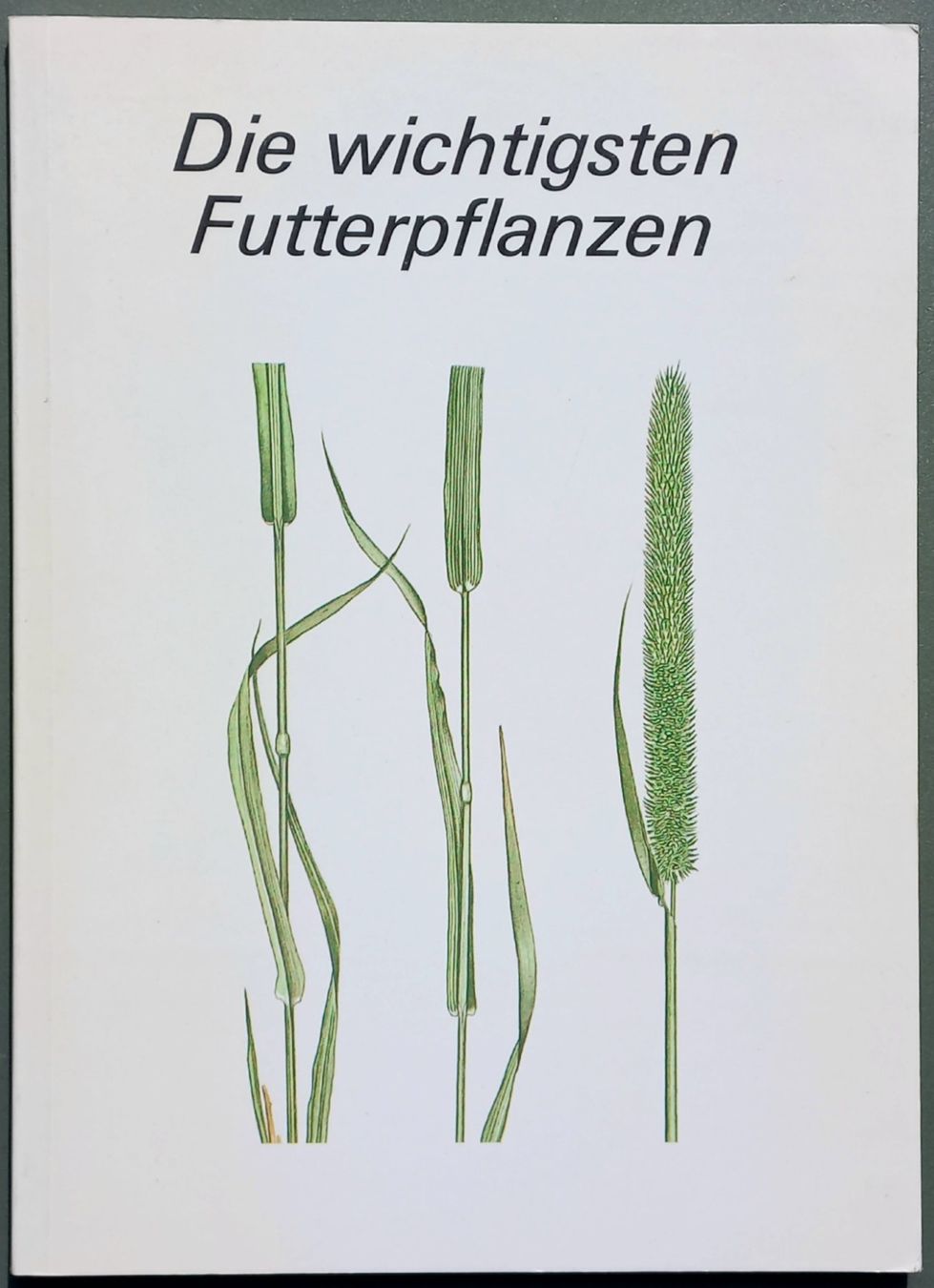 Libri: Buch - Die wichtigsten Futterpflanzen – Usato da Niederuzwil venduto da lubimaja