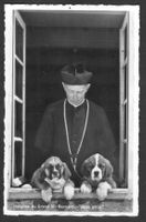 Grosser St. Bernard Bernardiner-Hunde Lonfat und Gentinetta