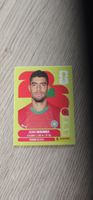 Fifa World Cup Panini MAR 9