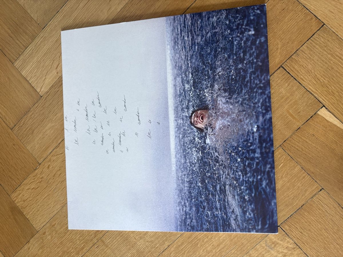 Schallplatten: Shawn Mendes Vinyl – Gebraucht aus Basel von batuhancocel