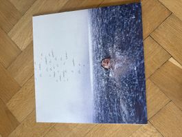 Shawn Mendes Vinyl