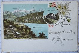 Souvenir de Oberland Bernois 1903 TOP