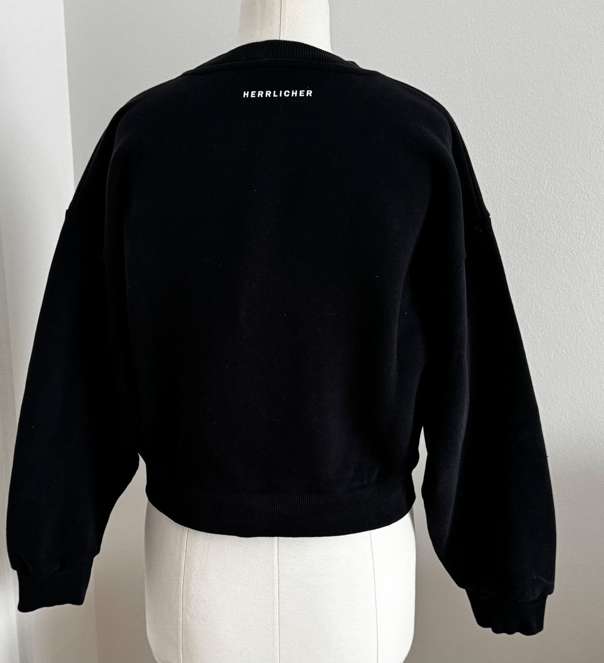 Pulls & Sweat-shirts: Pulli – Neuf (Voir description) à Mörschwil par Mirka019 1