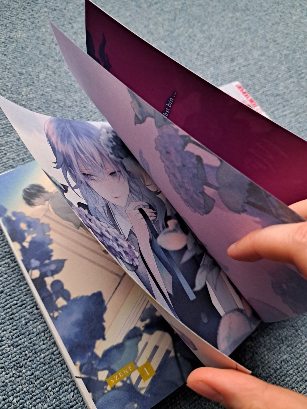Comics: Mr. Mallow Blue 1,2 Manga – Gebraucht aus Killwangen von KIANA08 2
