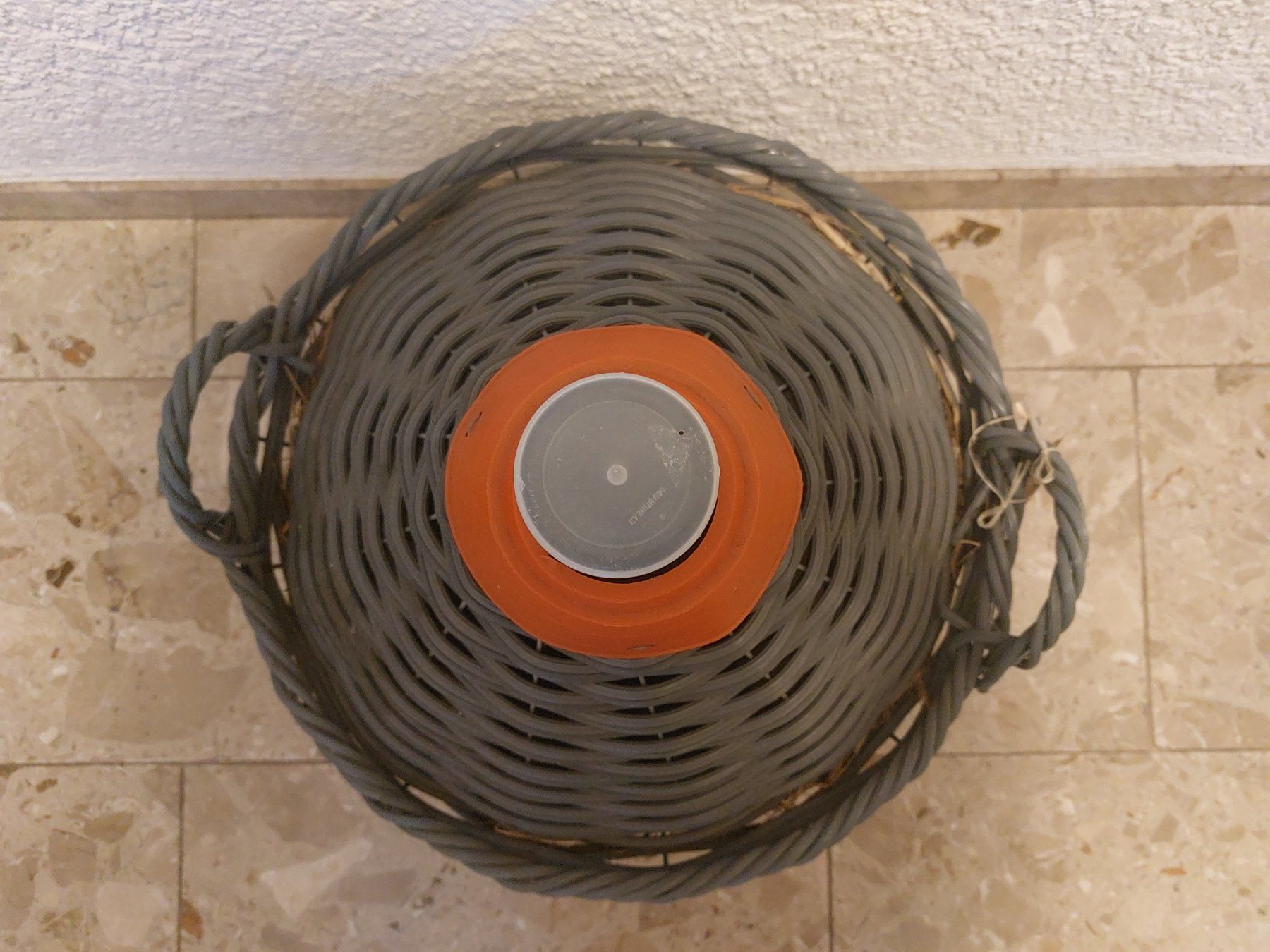 Flaschen: Korbflasche / Weinkorb / Demijohn 23 Liter Korbgeflecht – Gebraucht aus Horgen von Angel0010 2