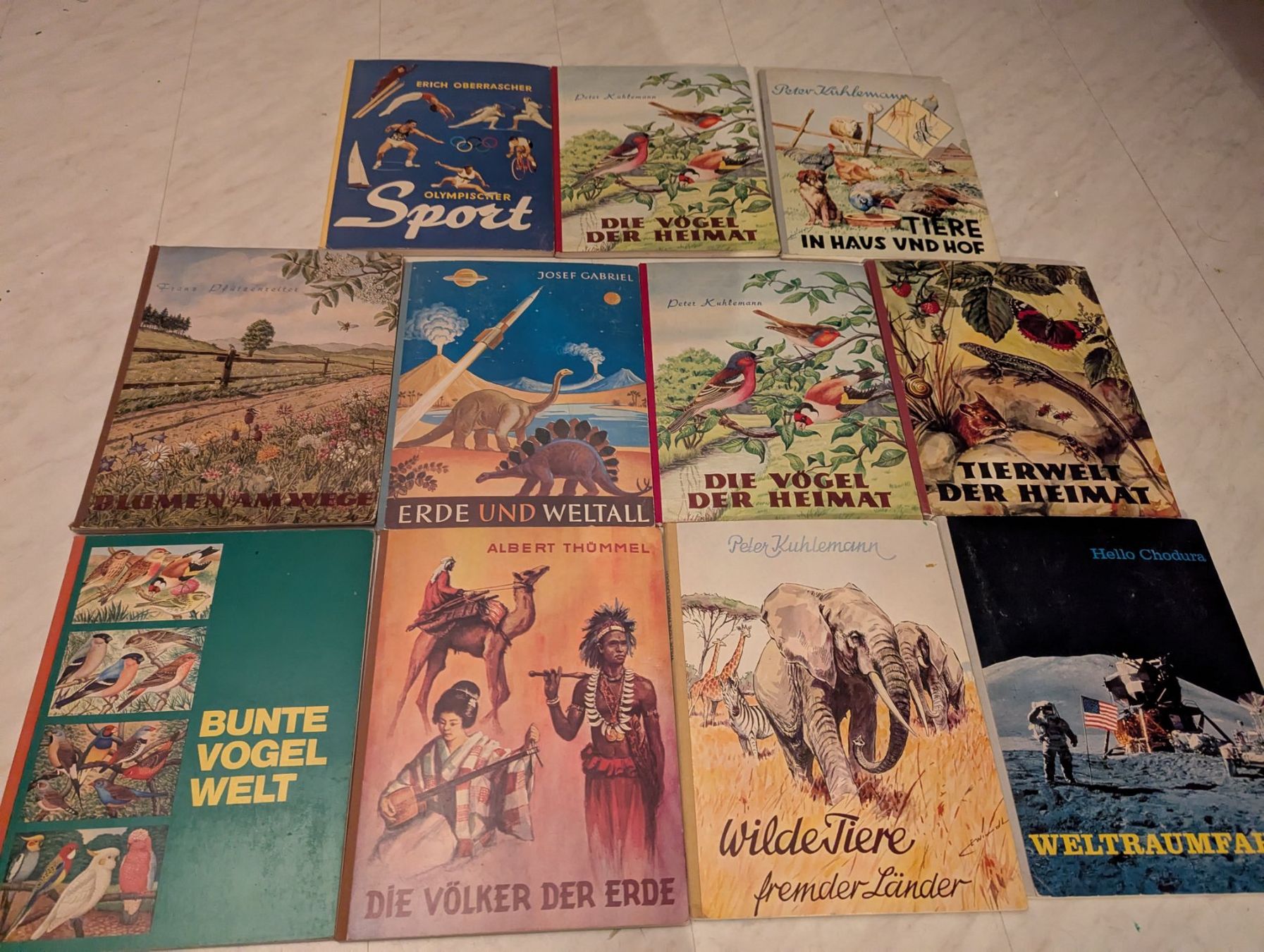 Libri: Antike Wissensbücher – Usato da Wangen ZH venduto da Nadja056