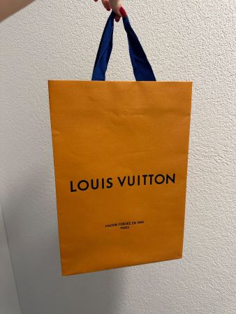 Louis Vuitton Tragetasche mittelgrösse hoch - wie NEU!