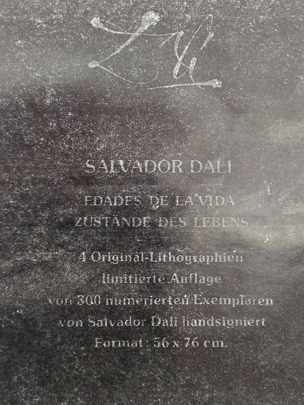 Grafica & Litografie: Salvador Dali original Lithographie handsigniert – Usato da Solothurn venduto da Ok648 5