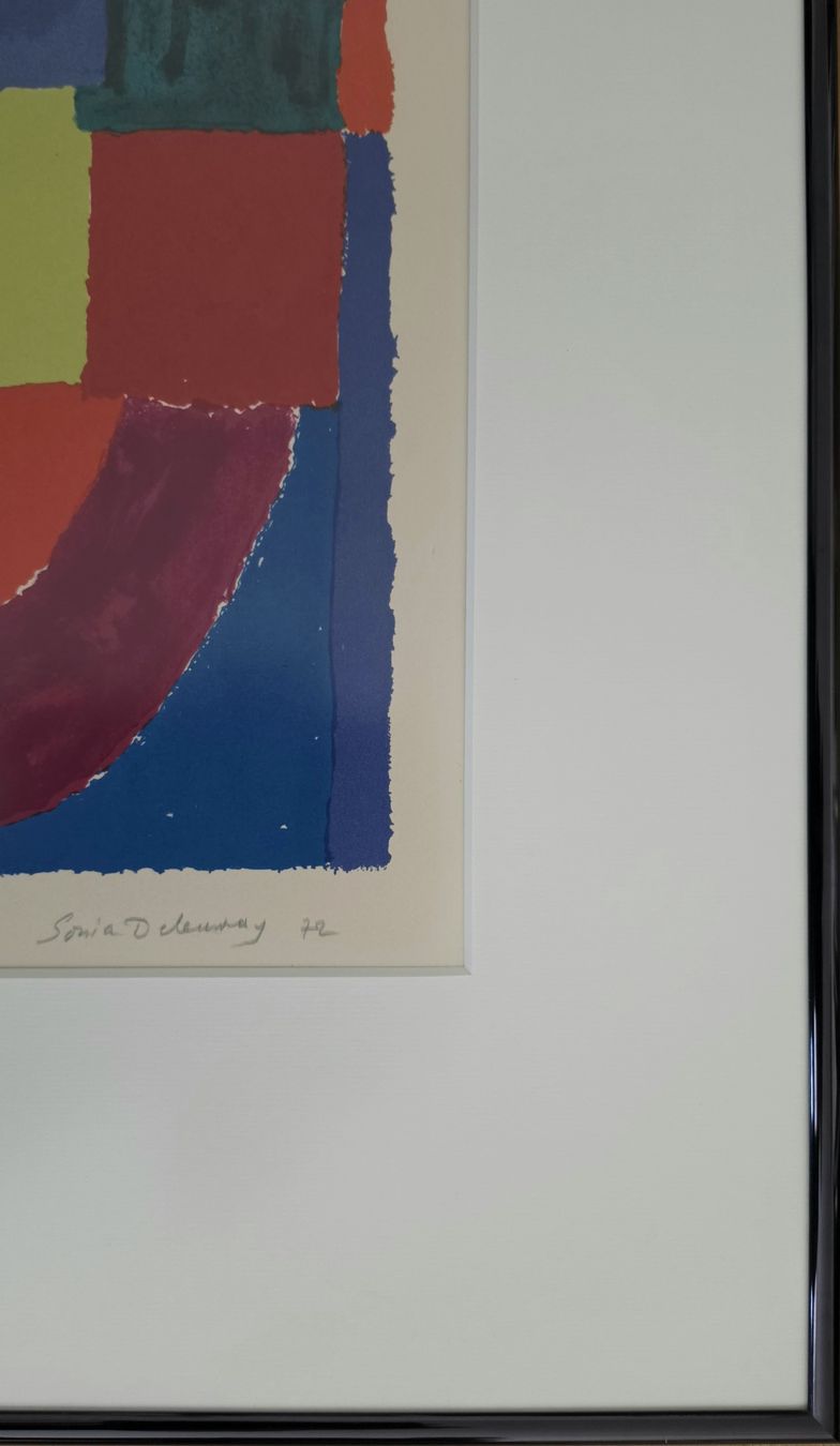 Arts picturaux & lithographies: Sonia DELAUNAY Original Lithogr. "Guepard" handsign.nr. 1972 – D'occasion à Emmenbrücke par Kunstankaufverkauf 1