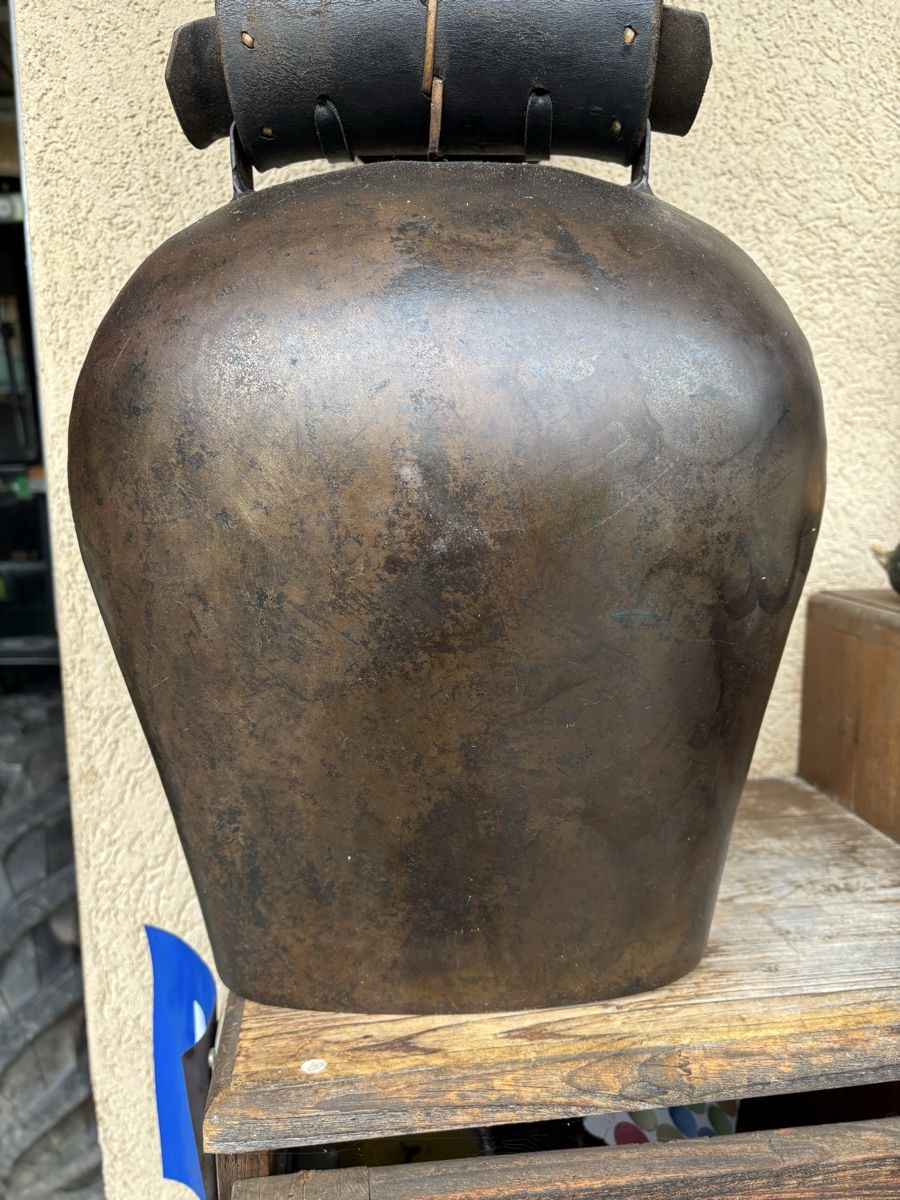Campanacci mucche: Gotthardt NR 14 – Usato da Schangnau venduto da Roseggli82 9