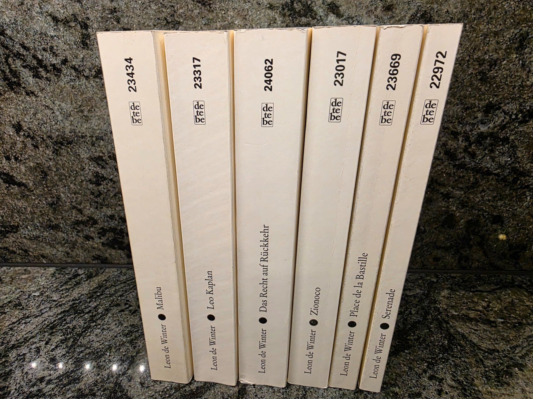 Bücher: Leon de Winter, 6 Romane, Diogenes, Top Zustand! – Gebraucht aus Herisau von Dinge-in-Bewegung 3