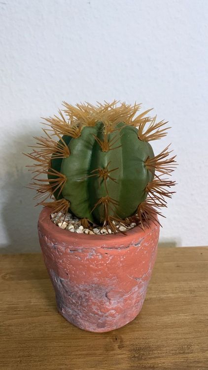 Deko Kaktus 15cm  Kaufen auf Ricardo