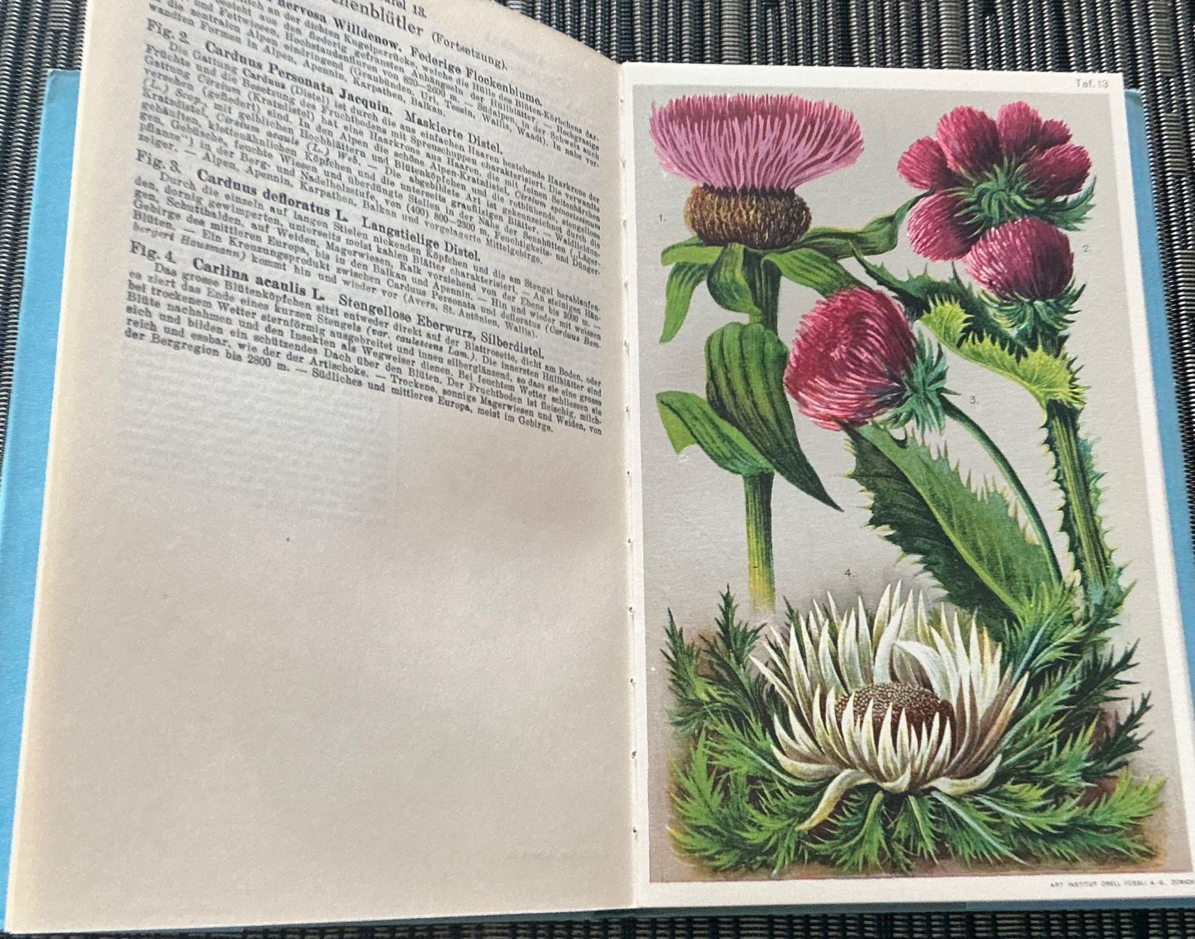 Bücher: Alpen-Flora - Prof. E. Schröter, 207 kol. Abbildungen, 1940 – Gebraucht aus Crans-Montana von plainemorte 8