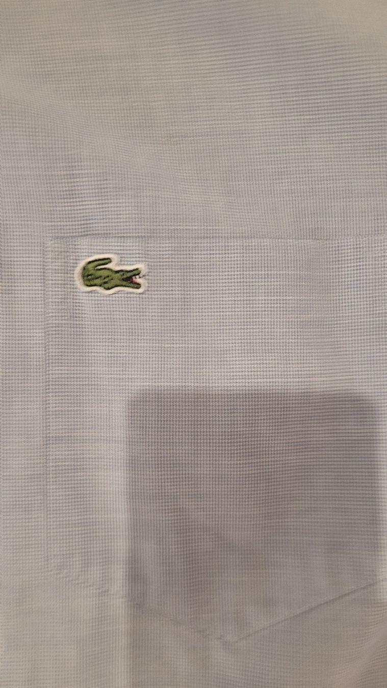 Lacoste Camicie: Lacoste Hemd – Usato da Bern venduto da raf_87hw 2
