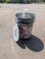 Hundefutter Behälter / Aufbewahrung