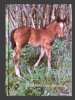 Petites Histoires de Chevaux Edition 1985 Kurt Weibel N.25