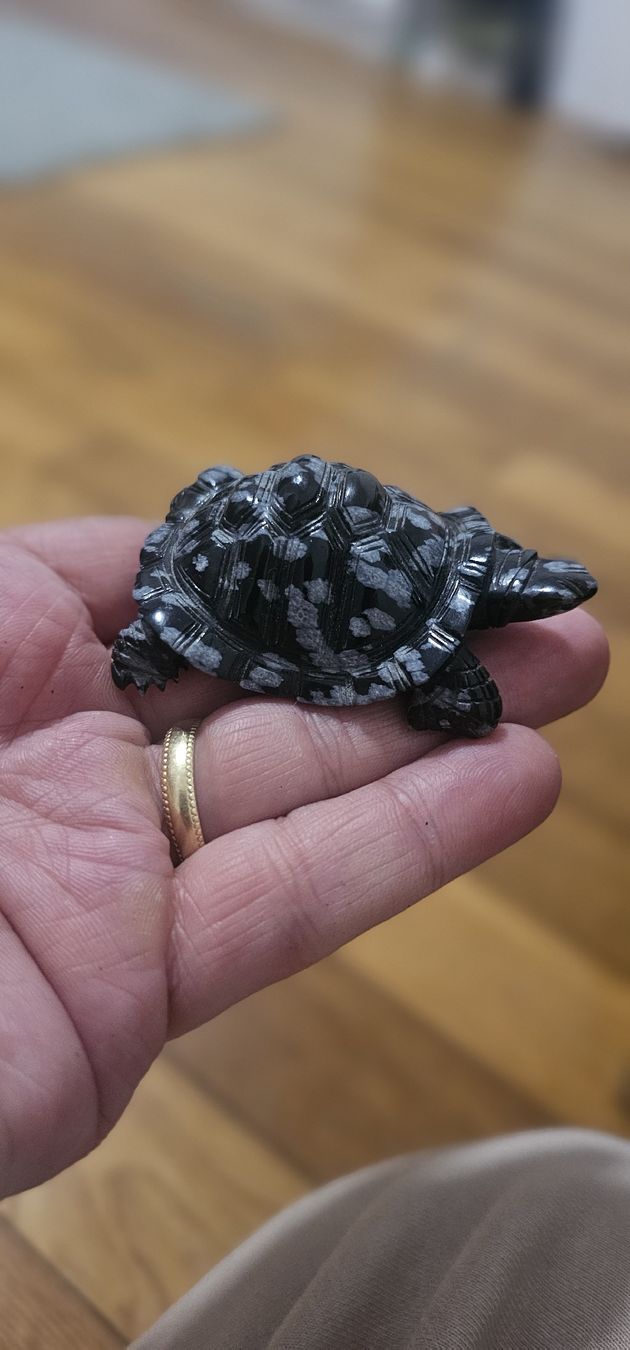 Statuette: Tortue obsidienne vintage – Nuovo e nell'imballaggio originale da Lausanne venduto da Delaquinta88 3