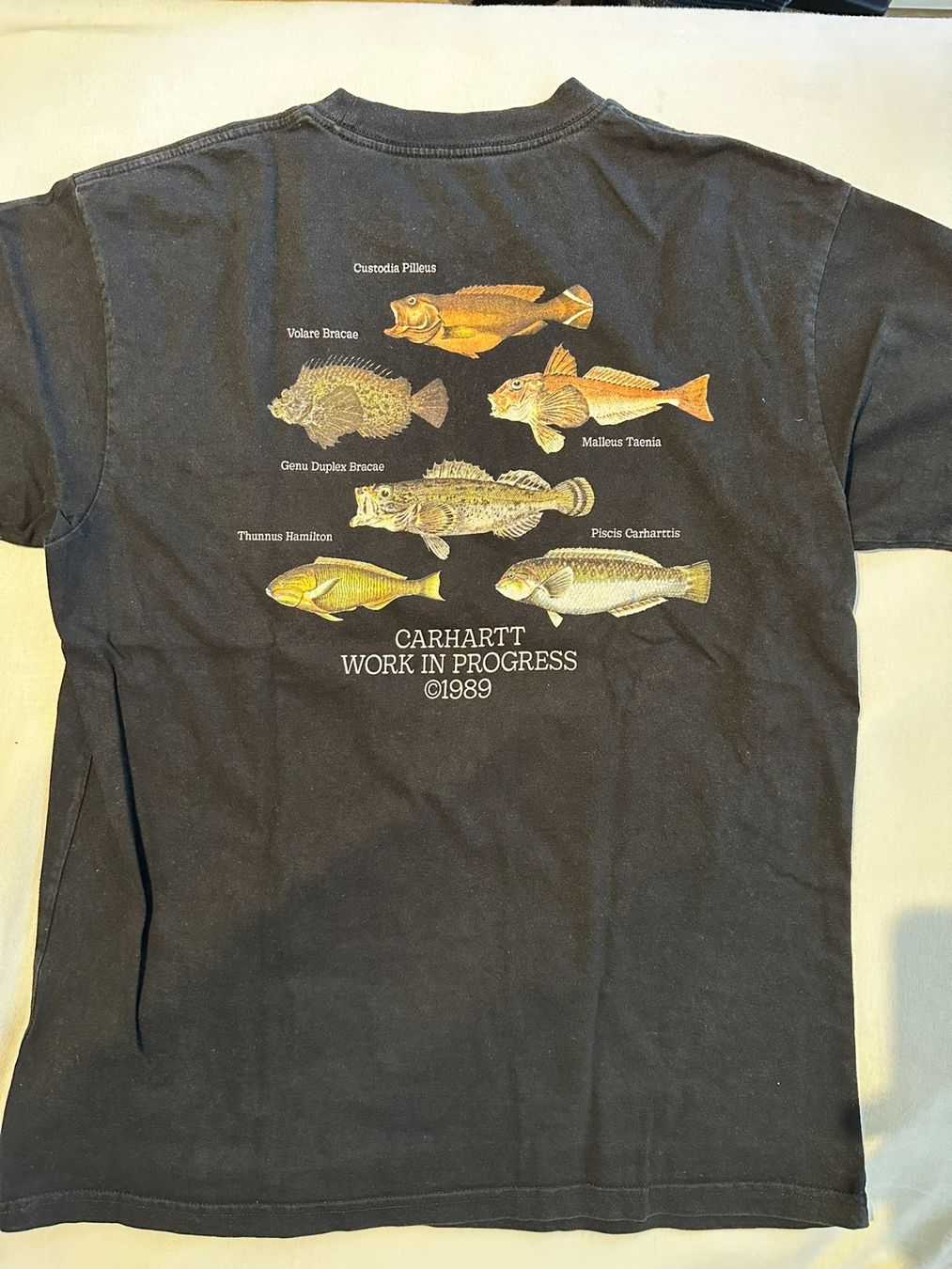 Carhartt T-shirt: Carhartt Shirt – Usato da Kaltbrunn venduto da schnoggele