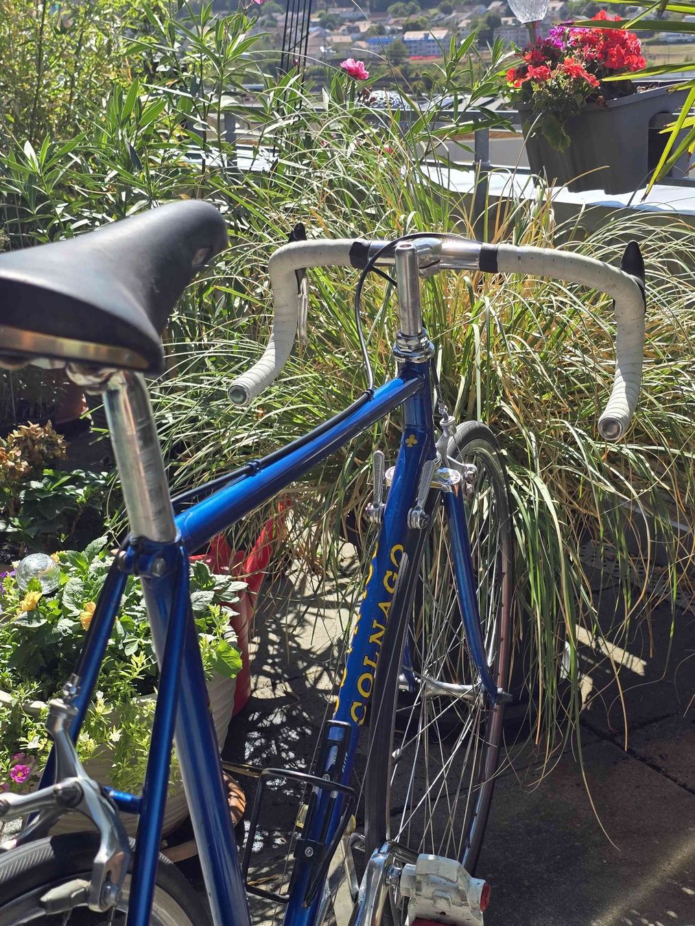 Colnago Vélos: COLNAGO Super Rennrad RH 55 – D'occasion à Stein AG par Papageno_3 9