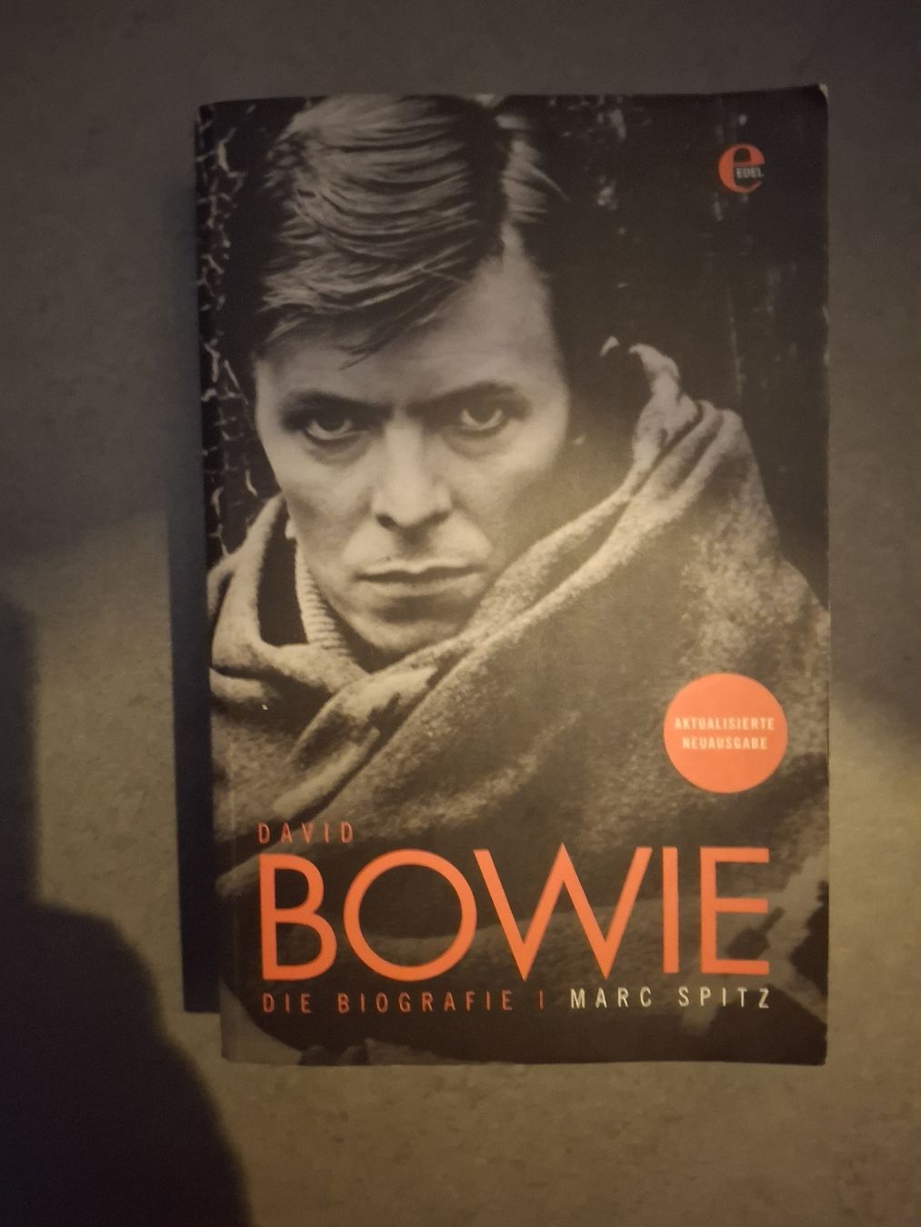Libri: David Bowie Biographie – Usato da Alpnach Dorf venduto da dek_s78g
