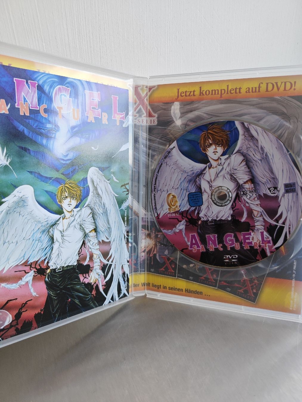 Tutti i DVDs: Angel Sanctuary DVD – Usato da Mellingen venduto da Krishi 3