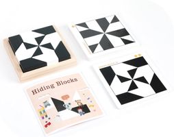 Holz Brain Teasers Spiel Puzzles  smart games