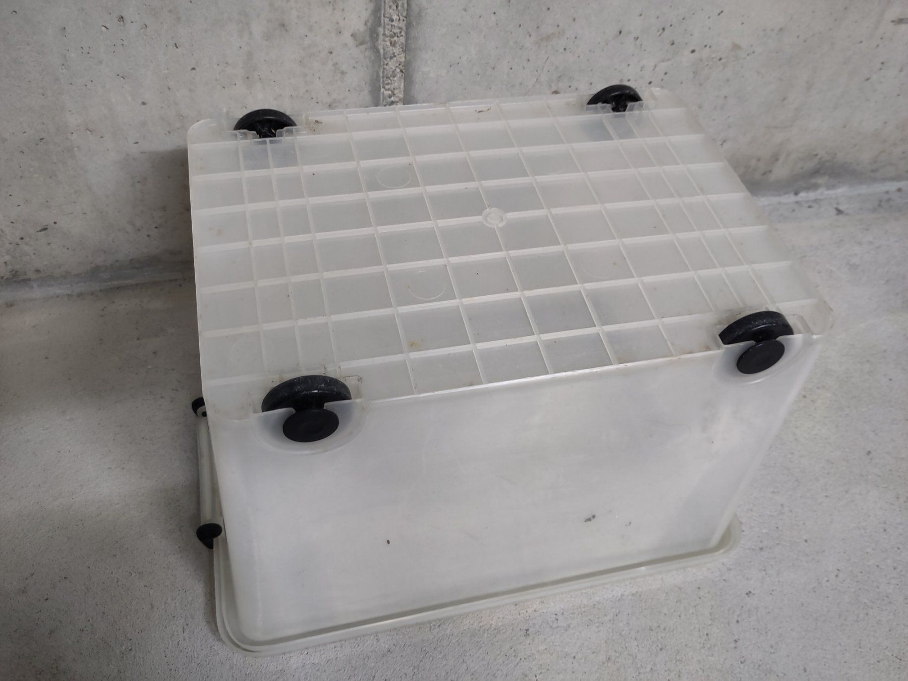 Casse di trasporto: Kunststoffbox transparent mit Rollen, stapelbar – Usato da Bern venduto da zahack 2