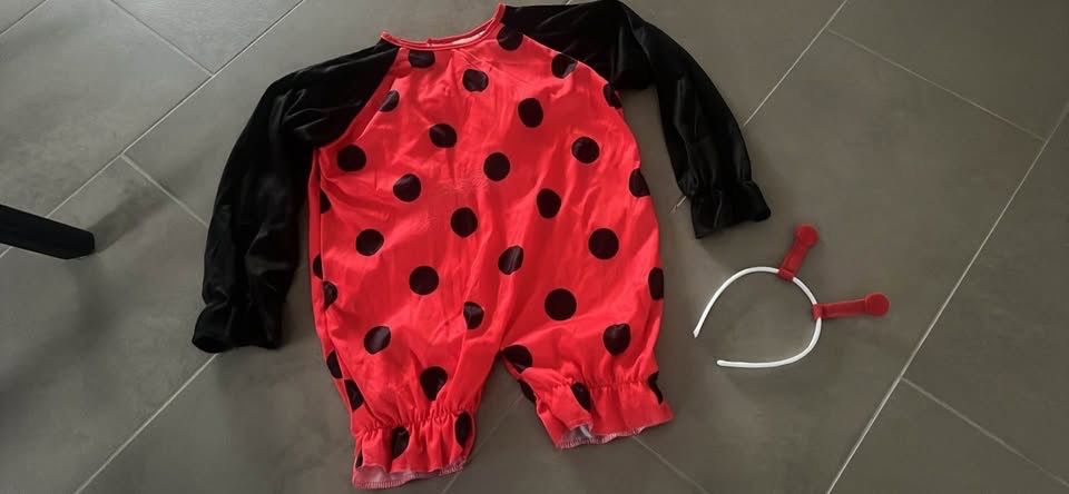 Costumi: Marienkäfer Kostüm, Grösse 104 - 116 – Usato da Seon venduto da Sunny-Schmuck78