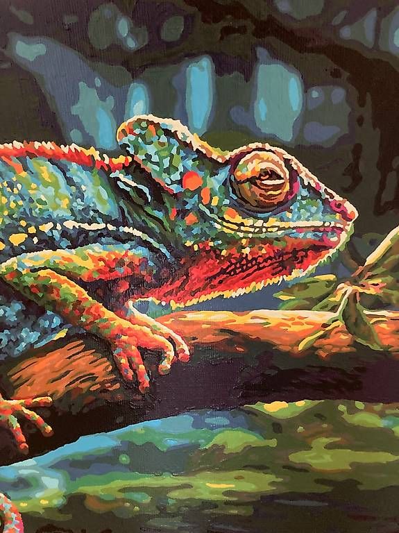 Dipinti: Bild/ Gemälde "Chamäleon", Malen nach Zahlen – Nuovo (secondo la descrizione) da Gelterkinden venduto da froggy80 1