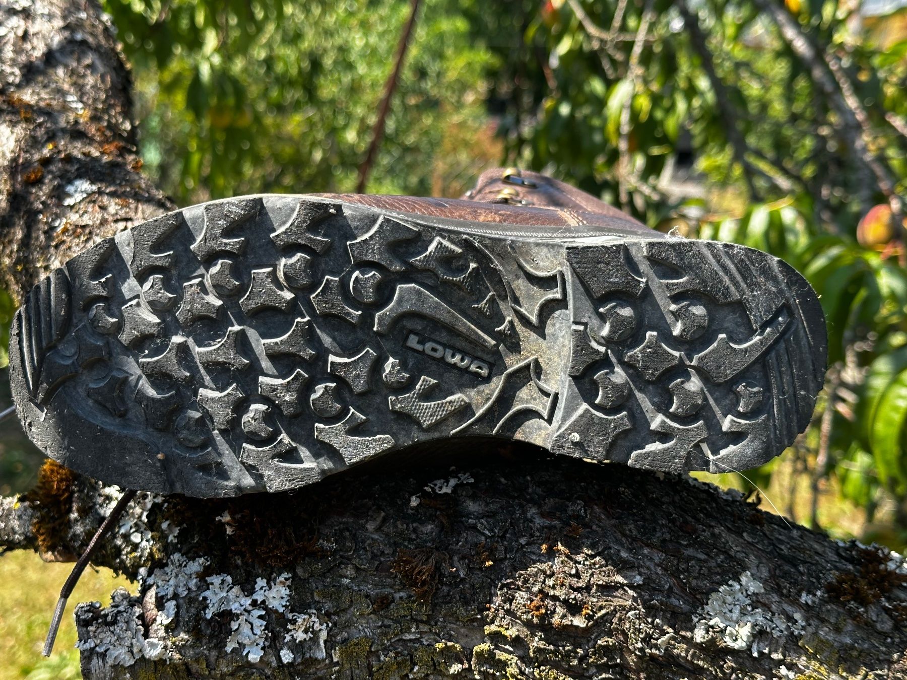 Lowa Scarpe da donna: LOWA Wanderschuh braun, EU Grösse 38 – Usato da Winterthur venduto da gumble_ch 3