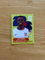 USA 12 Panini FIFA World Cup WM 2026