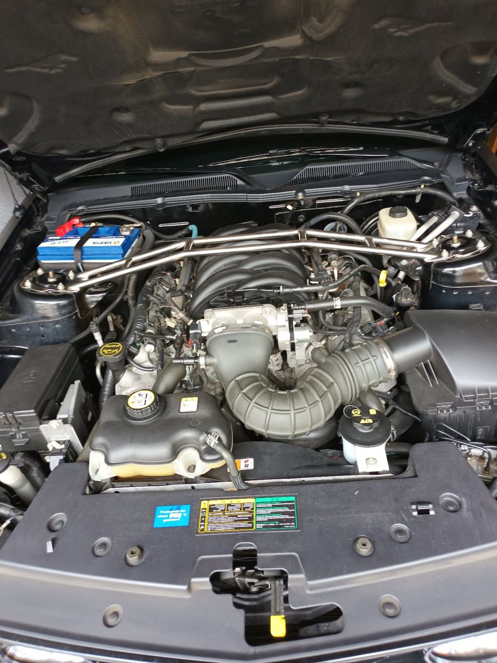 Ford Automobili: Ford Mustang 4.6 GT Cabriolet V8 neu MFK – Usato da Reigoldswil venduto da rocky037 5