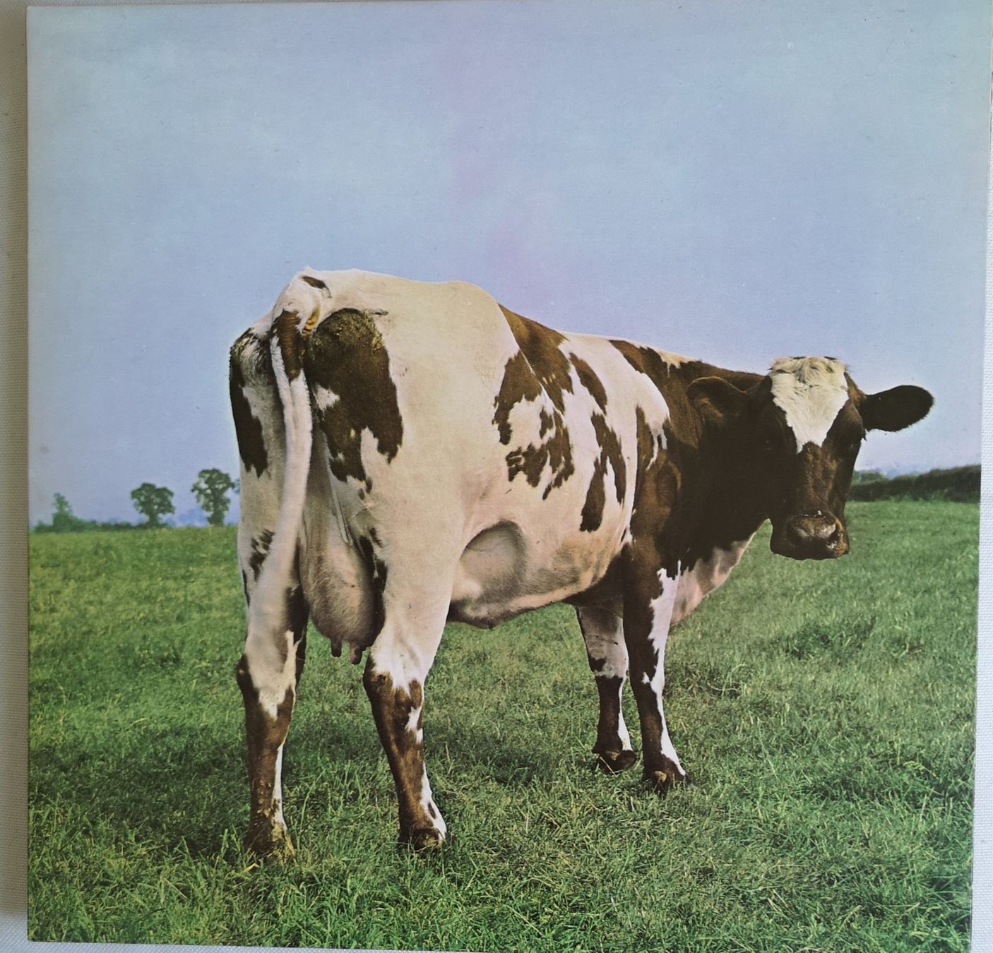 Dischi in vinile: 10 GEPFLEGTE POP/ROCK-ALBEN – Usato da Muttenz venduto da Sellerboy02