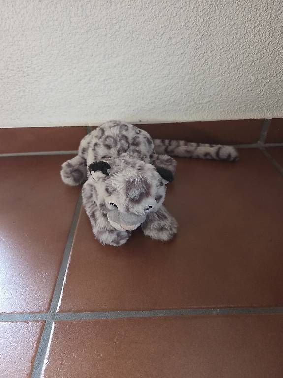 Jouets: Plüschtiere – D'occasion à Schachen b. Reute par jes_69lq