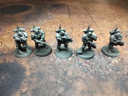 Warhammer 40k Space Marines Infiltrator grundiert 5 Stk