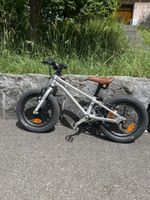 Early Rider Belter 14“