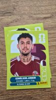 Panini WM 2026 Qatar Edmilson Junior