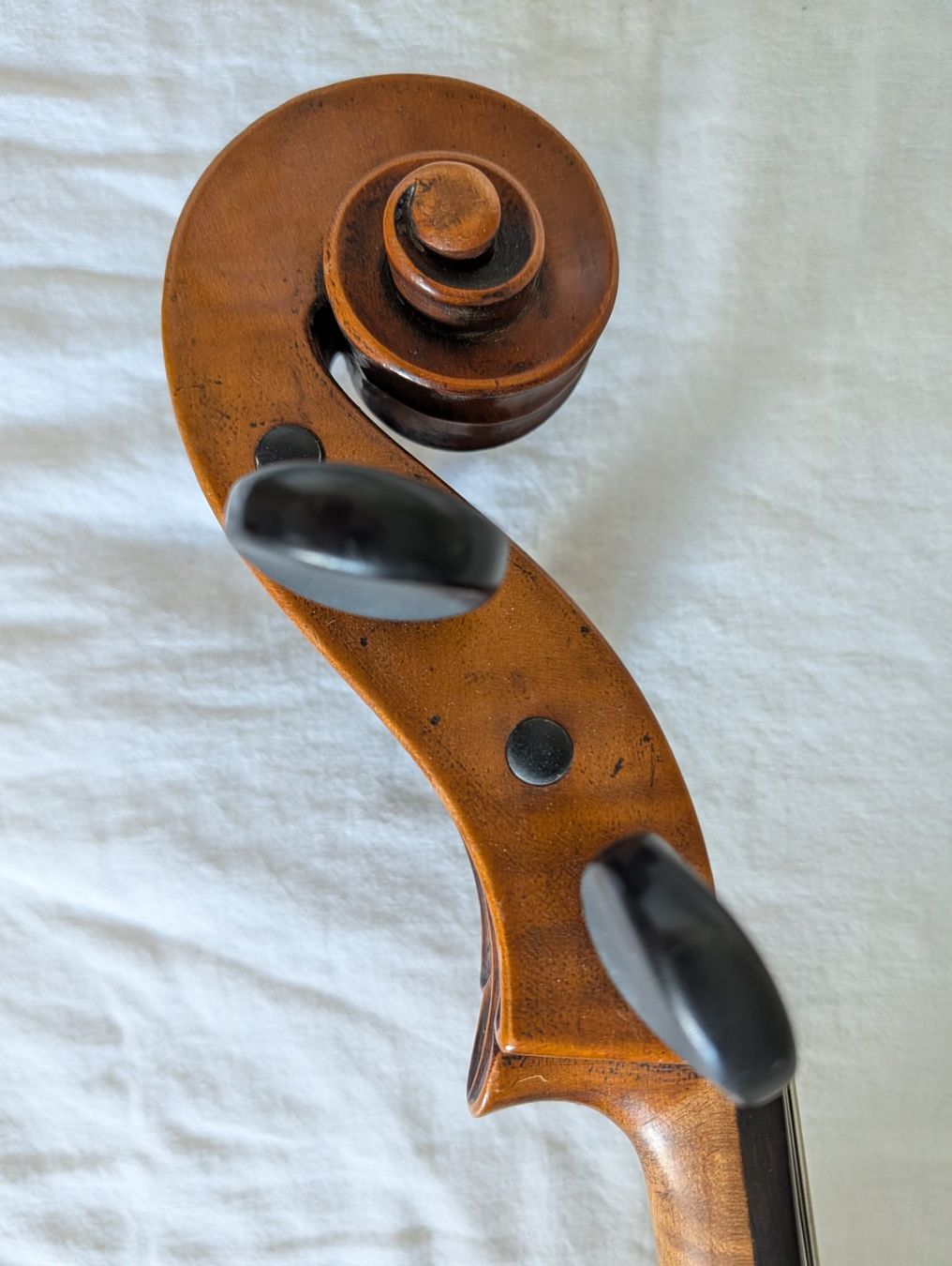 Strumenti musicali: Violoncello 4/4 1930 – Usato da Wabern venduto da Timperial 6