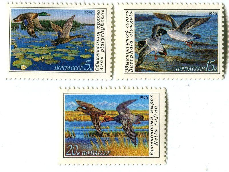 Tutti i francobolli: Briefmarken "Enten". UdSSR. – Nuovo e nell'imballaggio originale da Basel venduto da Butsch5