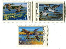 Briefmarken "Enten". UdSSR.