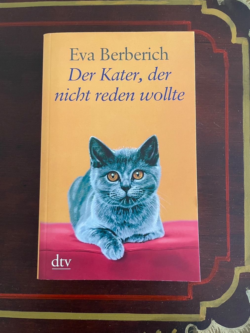 Libri: Katzen Roman von Eva Berberich – Nuovo (secondo la descrizione) da Emmenbrücke venduto da Ladyboutique