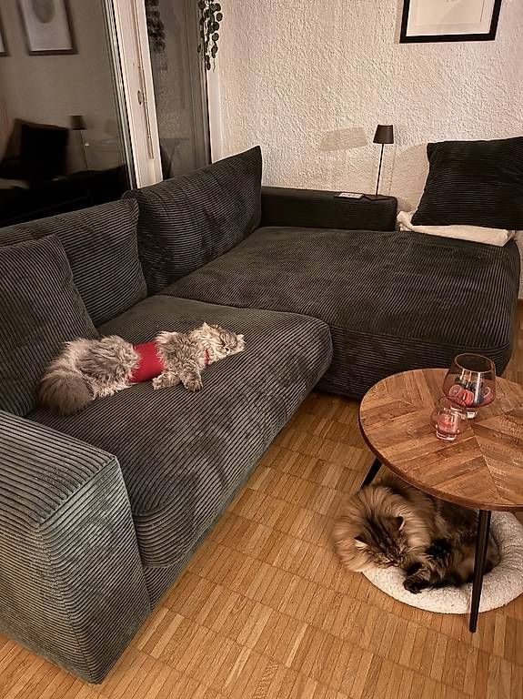 Sofas: Mömax Pedro Sofa Grün – D'occasion à Dübendorf par stoiran