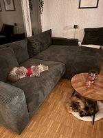 Mömax Pedro Sofa Grün