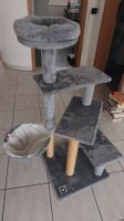 Katzen Kratzbaum