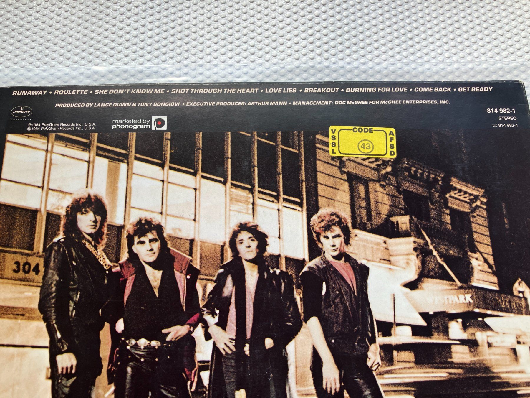 Dischi in vinile: Bon Jovi – Usato da Aarwangen venduto da Jukebox3 3
