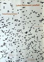 Lukas Felzmann: Landfall