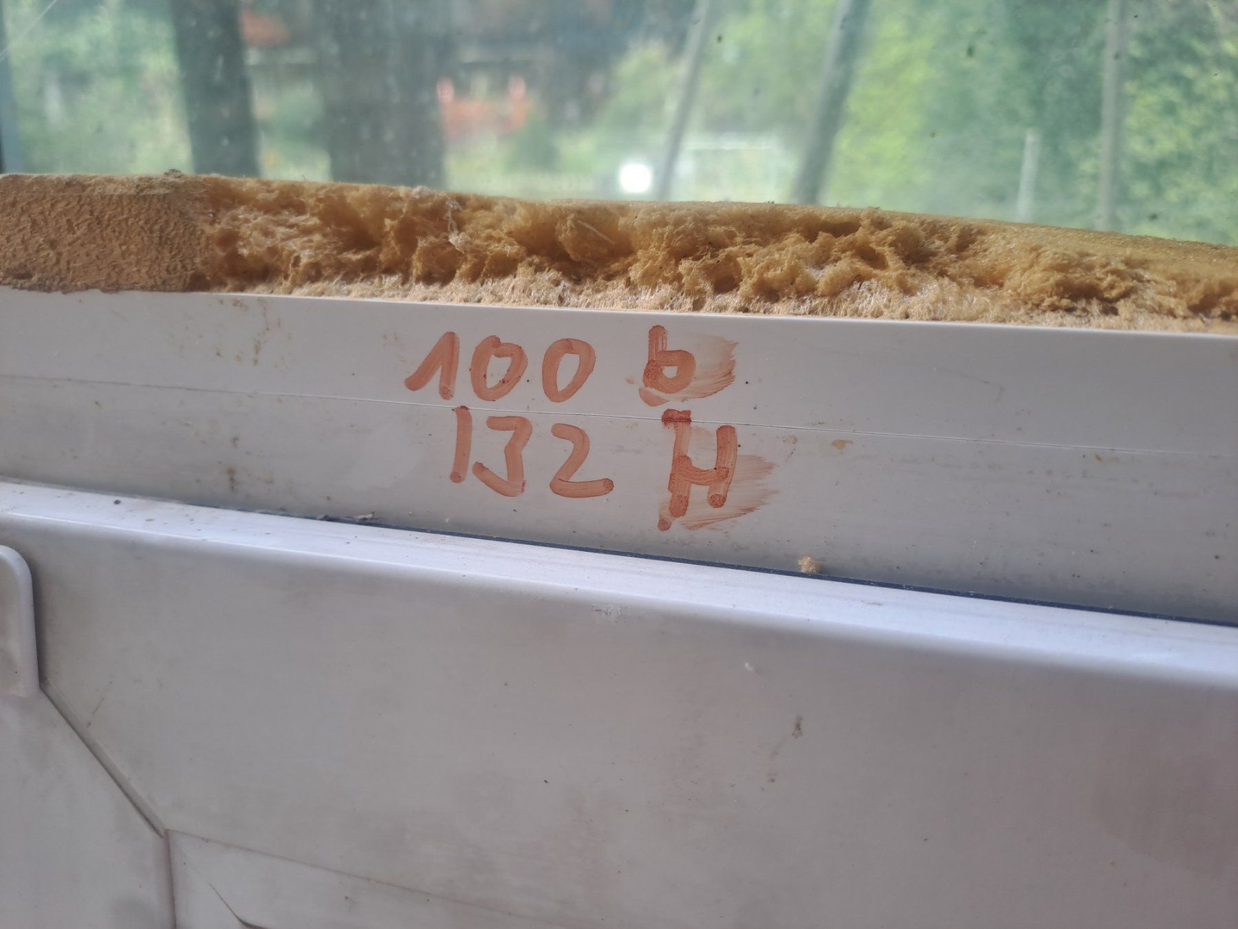Finestre: Fenster 2 Fluegel – Usato da Roggwil TG venduto da kellerthomaserbel 1