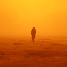 Profile image of BladeRunner_01